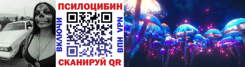 Купить закладки Богданович Псилоцибиновые грибы прущие грибы