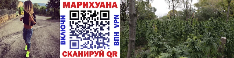 Канабис конопля Купить Богданович